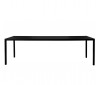 Mesa T12