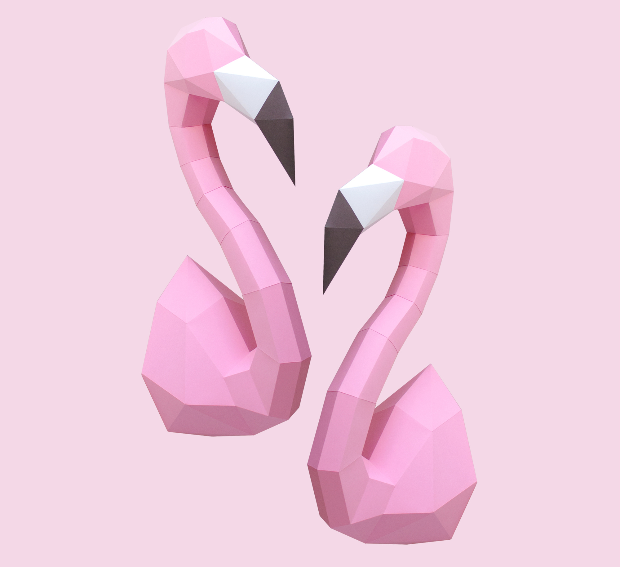 Kit Flamingo rosa