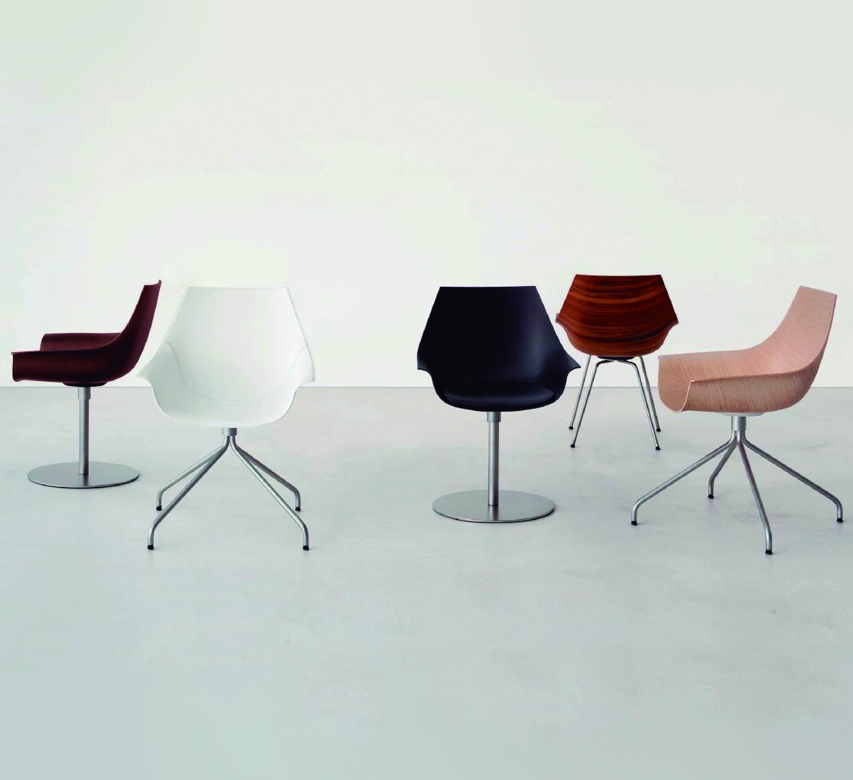 Silla Cox
